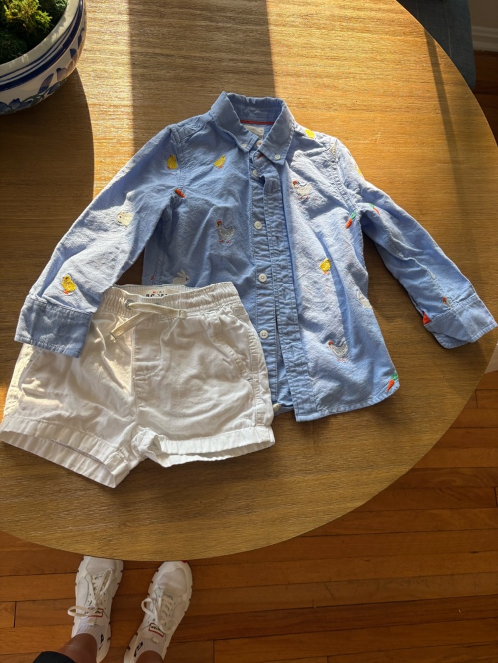 Mini Boden Embroidered Button-Down Shirt & Short Bundle size 4